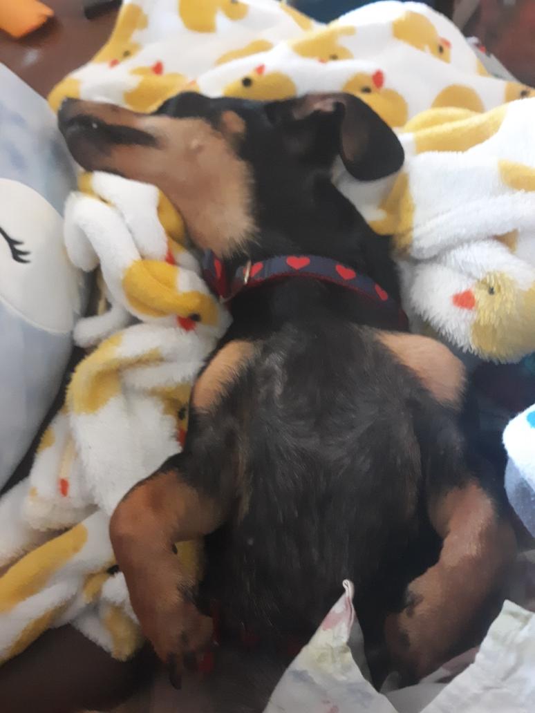 PettyInaPetti's tweet photo. Unsolicited weenie pic https://t.co/fg9BLwLBmZ
