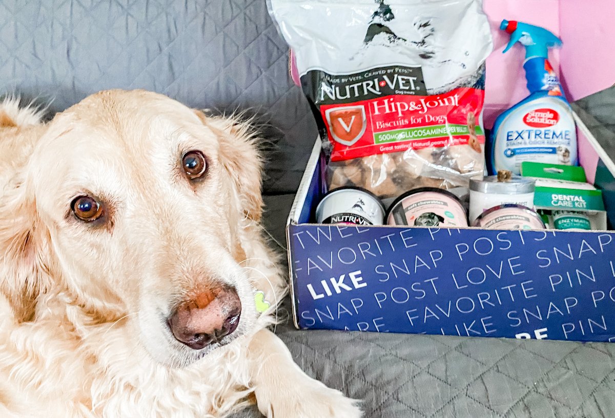 WildlyWander's tweet photo. #ad Check out 4 Pet Perfect Products for your dog today! They are all Bella approved, she is enjoying them all, + grab a @treatiblespets Coupon Code!
https://t.co/O1QTFgg5e4
#PetPerfectBBXX #VetsBest #NaturalPet #Treatibles #HarmonyForTheWholeFamily #Nutrivet #Amountsthatcount https://t.co/i1BGBE2klR