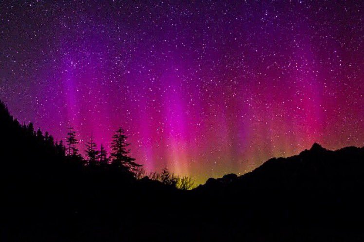 In 2018, NASA confirmed the existence of a new type of aurora, appearing as...