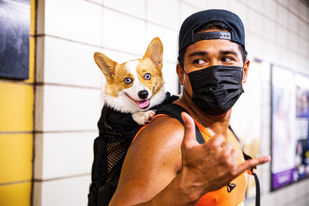 Where we headin' <a href="/GnocchiVino/">Gnocchi Vino Andino</a>? I hope that everyone has a great weekend 🤙🏾

#GnocchitheAuggie #FridayMood