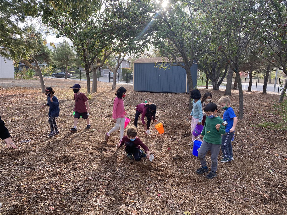 GECTweets tweet media