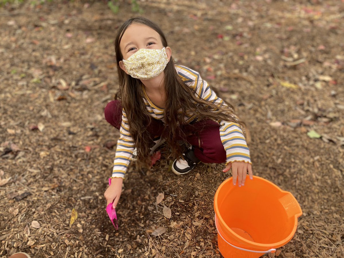 GECTweets tweet media