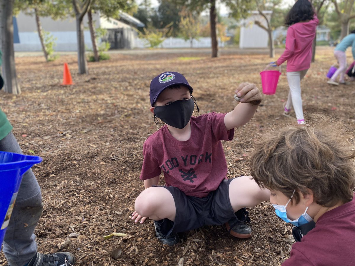 GECTweets tweet media