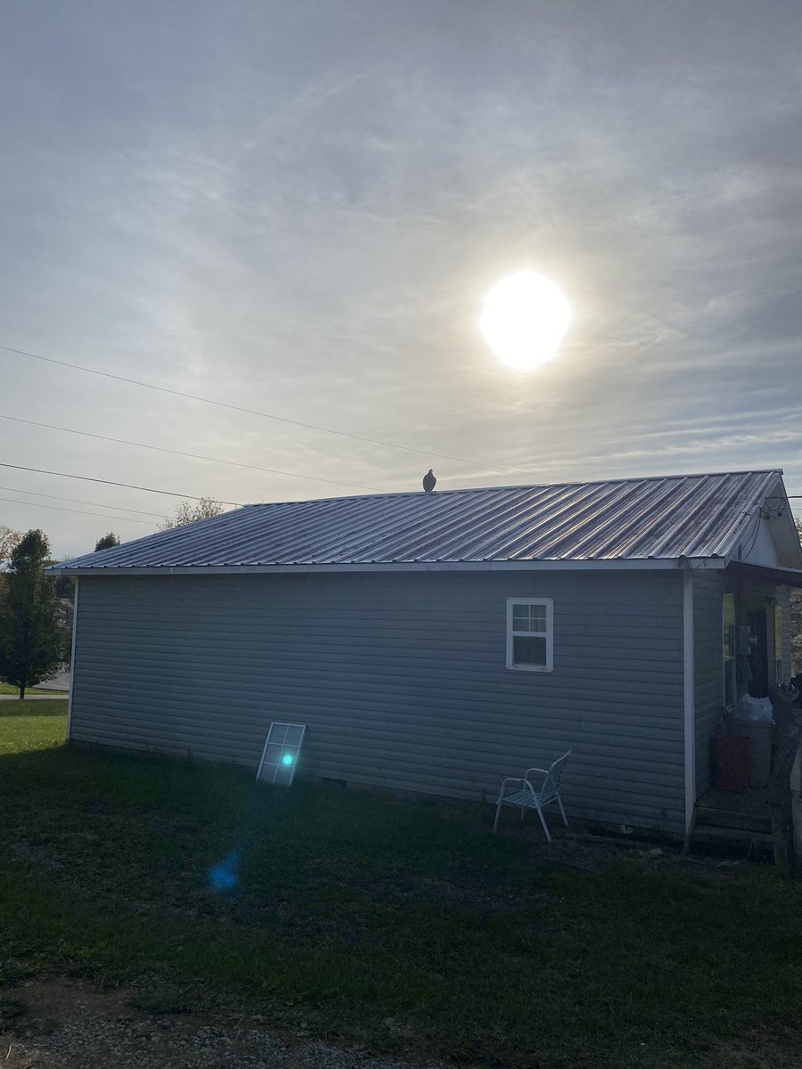 uniqcreations4u's tweet photo. Had 2 Buzzards ���� 🦅chilling on my roof today, actually there was 3 , but I believe the 2 jumped the one, which was hobbling across the street. Then the other 2 just stayed on my roof like they owned the joint , 1
Flew away lol.
.@BlazedRTs .@sme_rt .@RTUKSeller .@ItsJeffreyJeff https://t.co/eV8bzy8clh