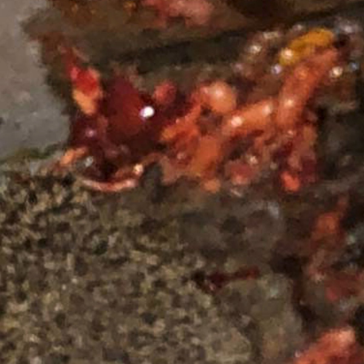 gargamel331's tweet photo. 🦔 https://t.co/drz5ygX9Hq