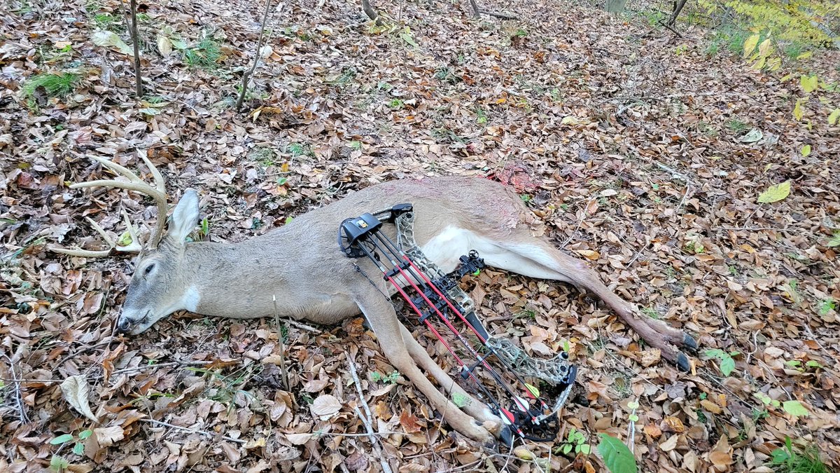 ShawnCreek2's tweet photo. It was a pretty good day! A big doe this Am &amp; after about 40 hrs in the stand this ole boy gets a ride in the @ChevyTrucks with the suggestion of @tboneoutdoors the @G5Outdoors #megameat did its job! @Mathews_Archery @TedNugent @BoogerBottom @nickmundt https://t.co/OkiPNt6w6T