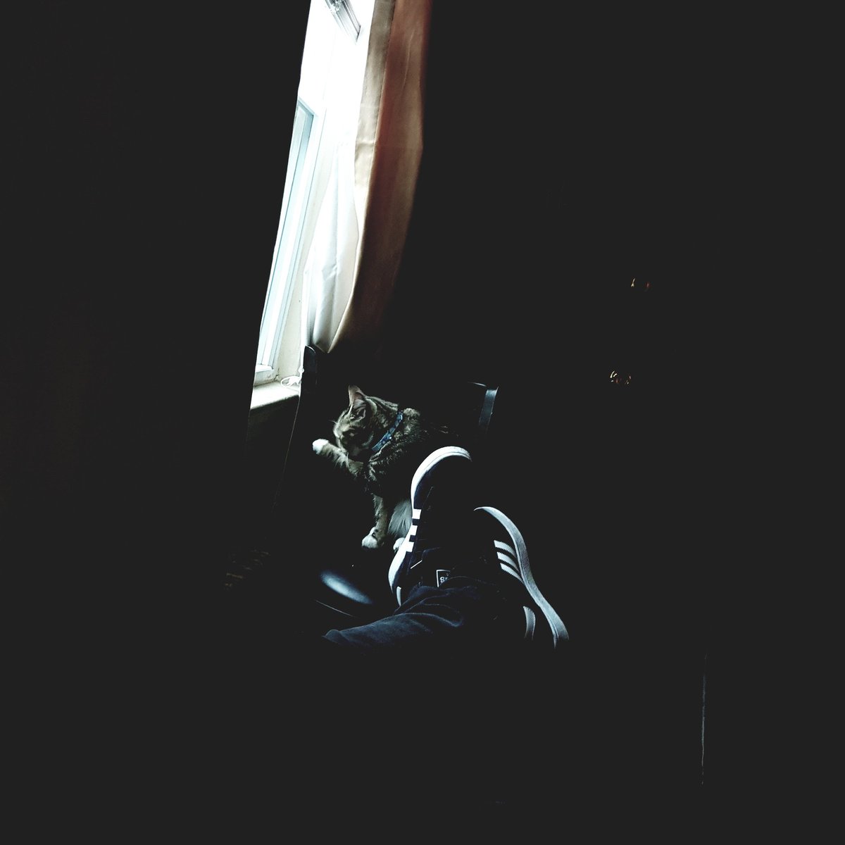 To live a creative life, we must lose our fear of being wrong. 
#MotivationalQuotes