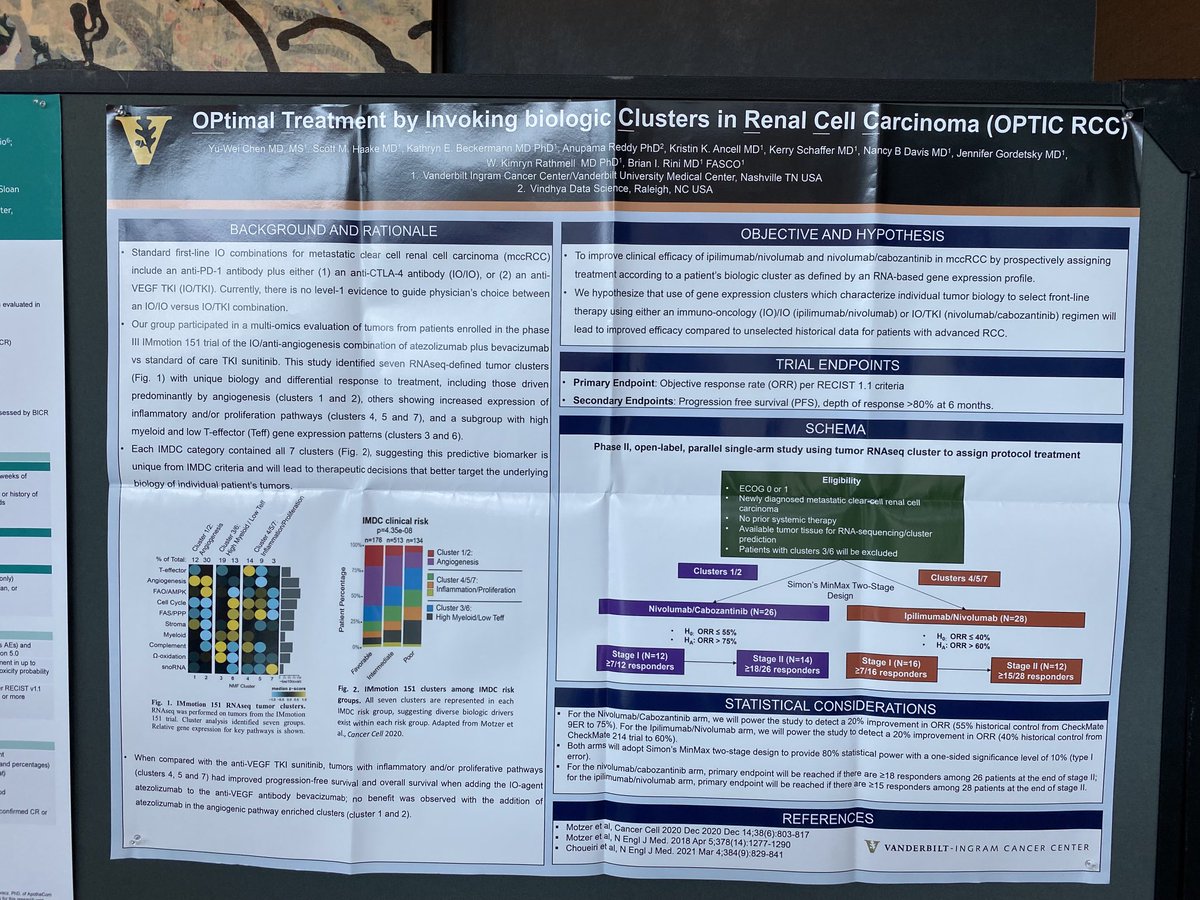 brian_rini's tweet photo. Vanderbilt is leading the charge in doing biomarker-based RCC trials. Thanks to all supporting this effort. @KimrynRathmell @katy_beckermann @VUMC_Cancer @montypal @MosheOrnsteinMD @TiansterZhang #mikeatkins https://t.co/gRXGlf6PIz