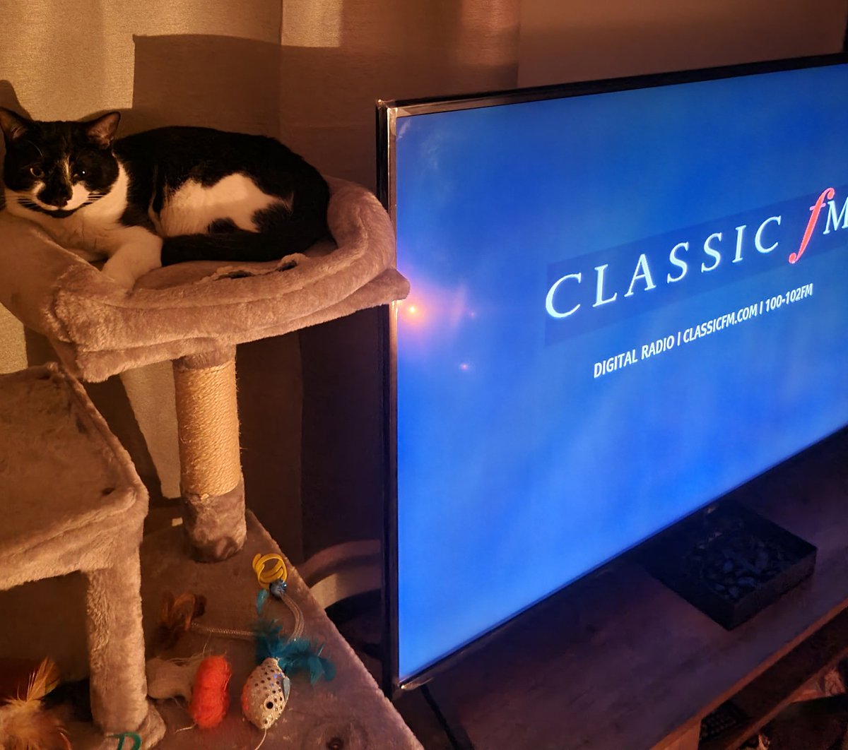 tilkin's tweet photo. @ClassicFM front row seats for figaro... https://t.co/Y2I6yyzDAn