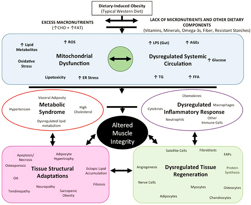 Physio Meets Science tweet media