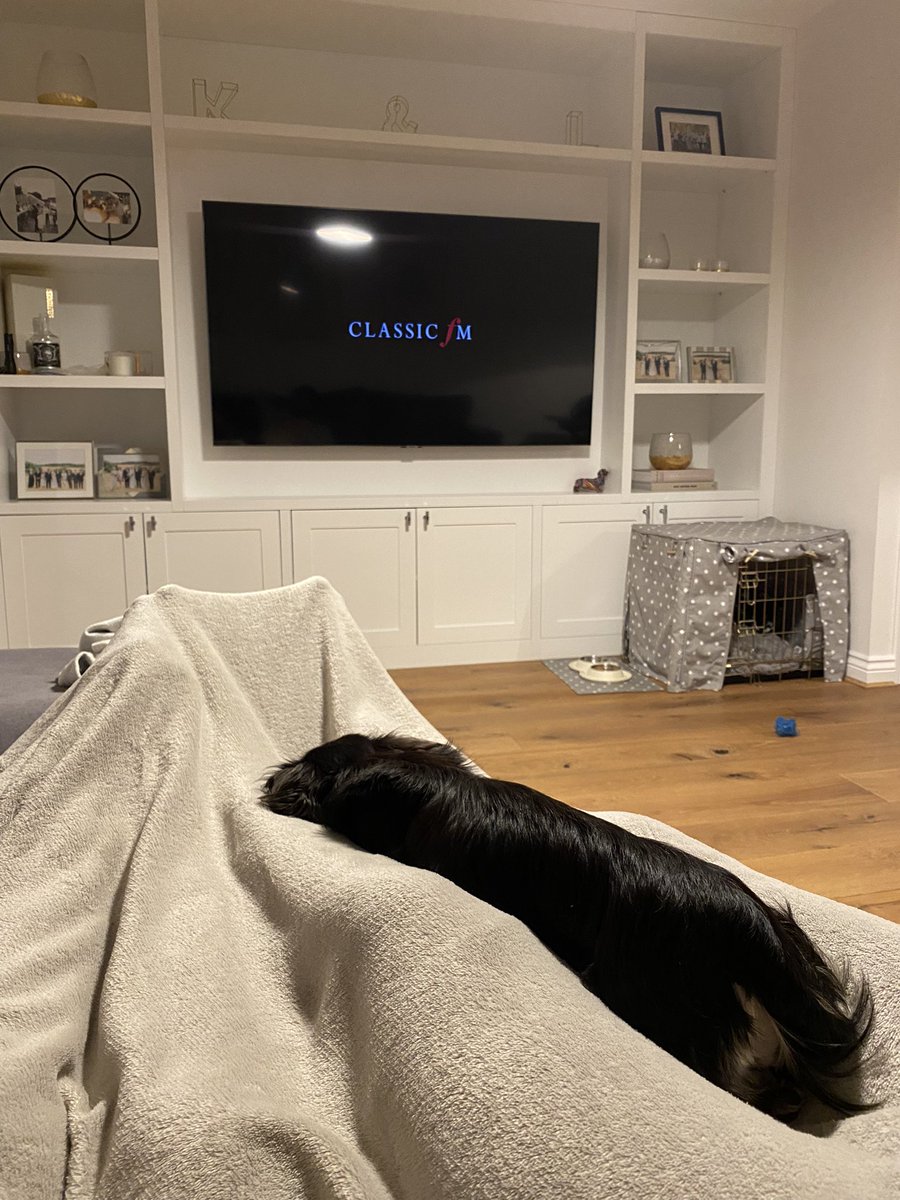 Thank you for the show <a href="/classicfm/">Classic FM</a>, our miniature dachshund, Romi, is now thankfully enjoying her first fireworks night…