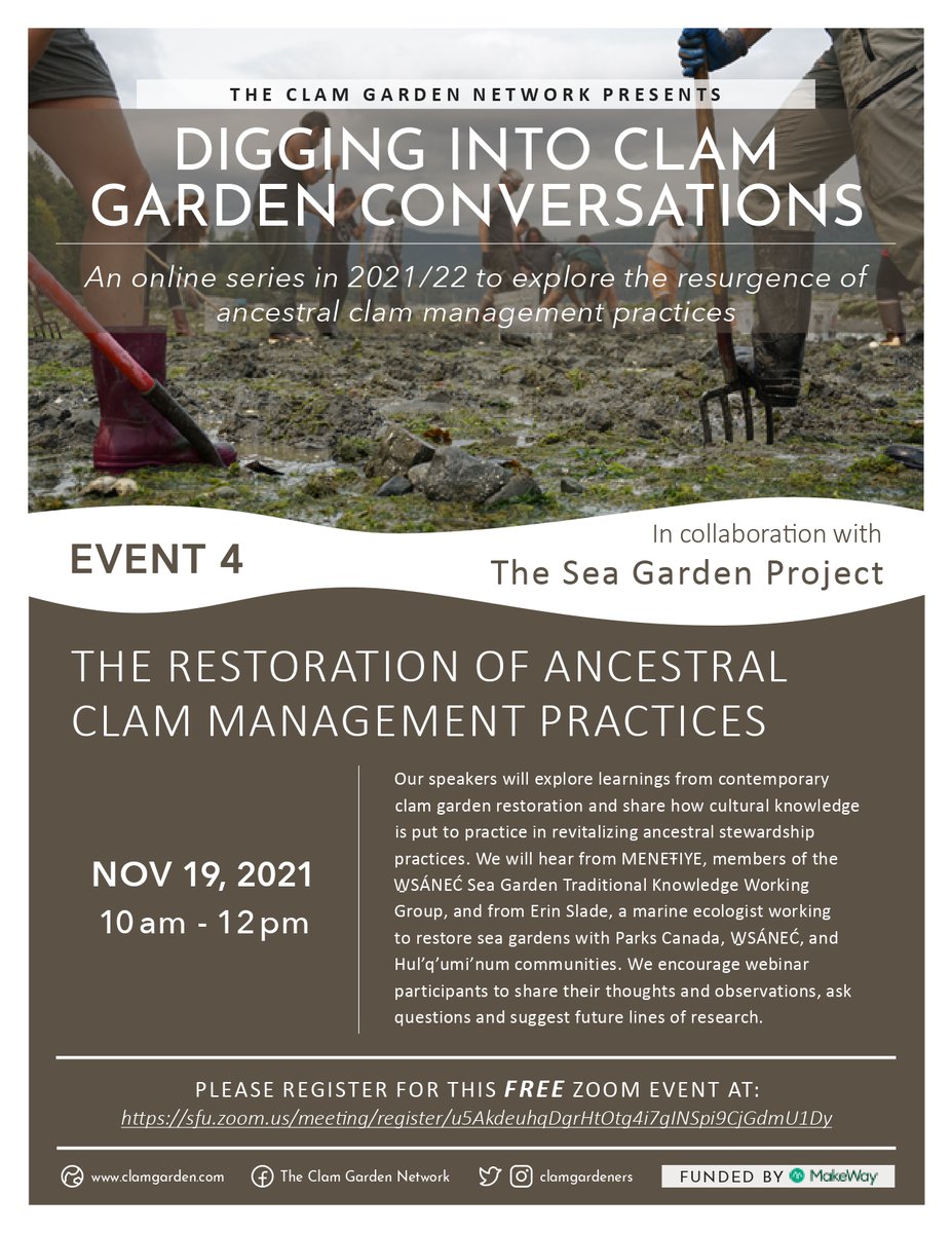 Clamgardeners's tweet photo. On November 19th, at 10 am, we will come together for the fourth event in the series "Digging into Clam Garden Conversations." Join us to discuss the restoration of ancestral clam management practices! Register here: https://t.co/UN0NzKGxHK https://t.co/IjW5T0NDTT