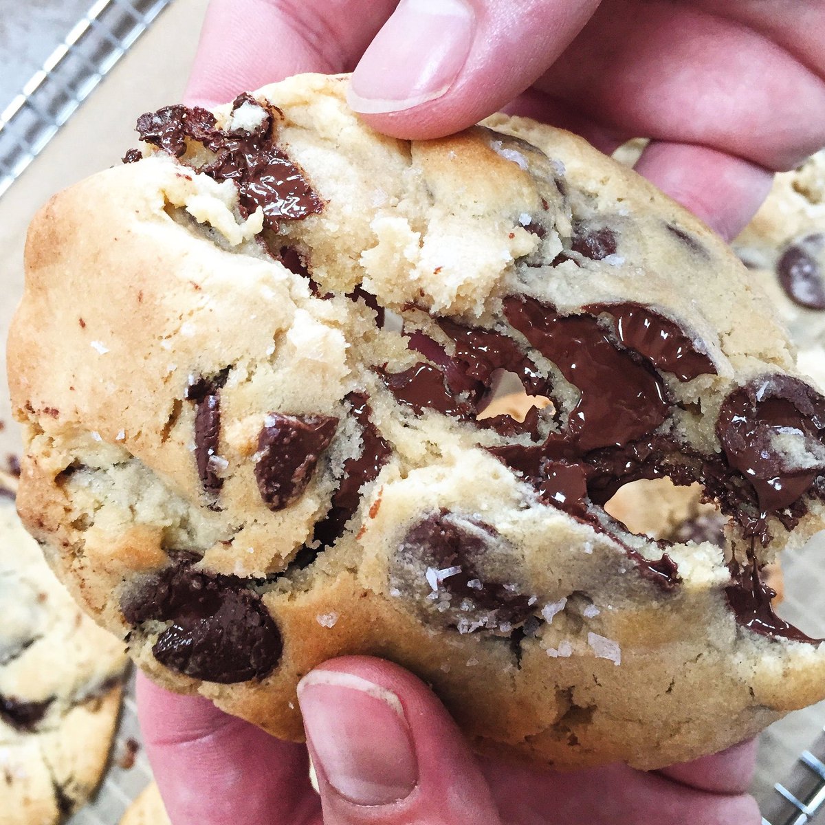ourharvest's tweet photo. Our Friday just got a whole lot sweeter. 🤤🍫 ⁣⁣
⁣ https://t.co/wDGWUOhDiF