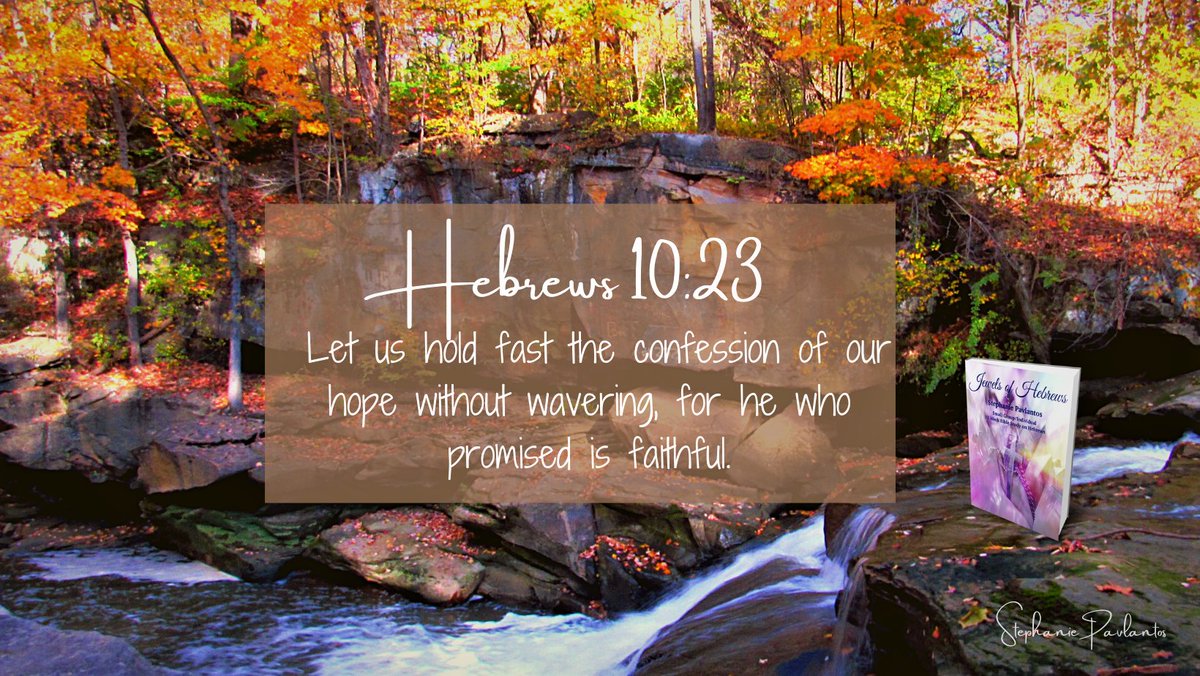 DPavlantos's tweet photo. Jewels of Hebrews is an expository Bible study of Hebrews with plenty of application. Find out how the colors of precious jewels show us the character and ministry of our Savior. #JewelsofHebrews #Jewels #Biblestudy #Hebrews #Healthyfaith https://t.co/VplOY6doPy