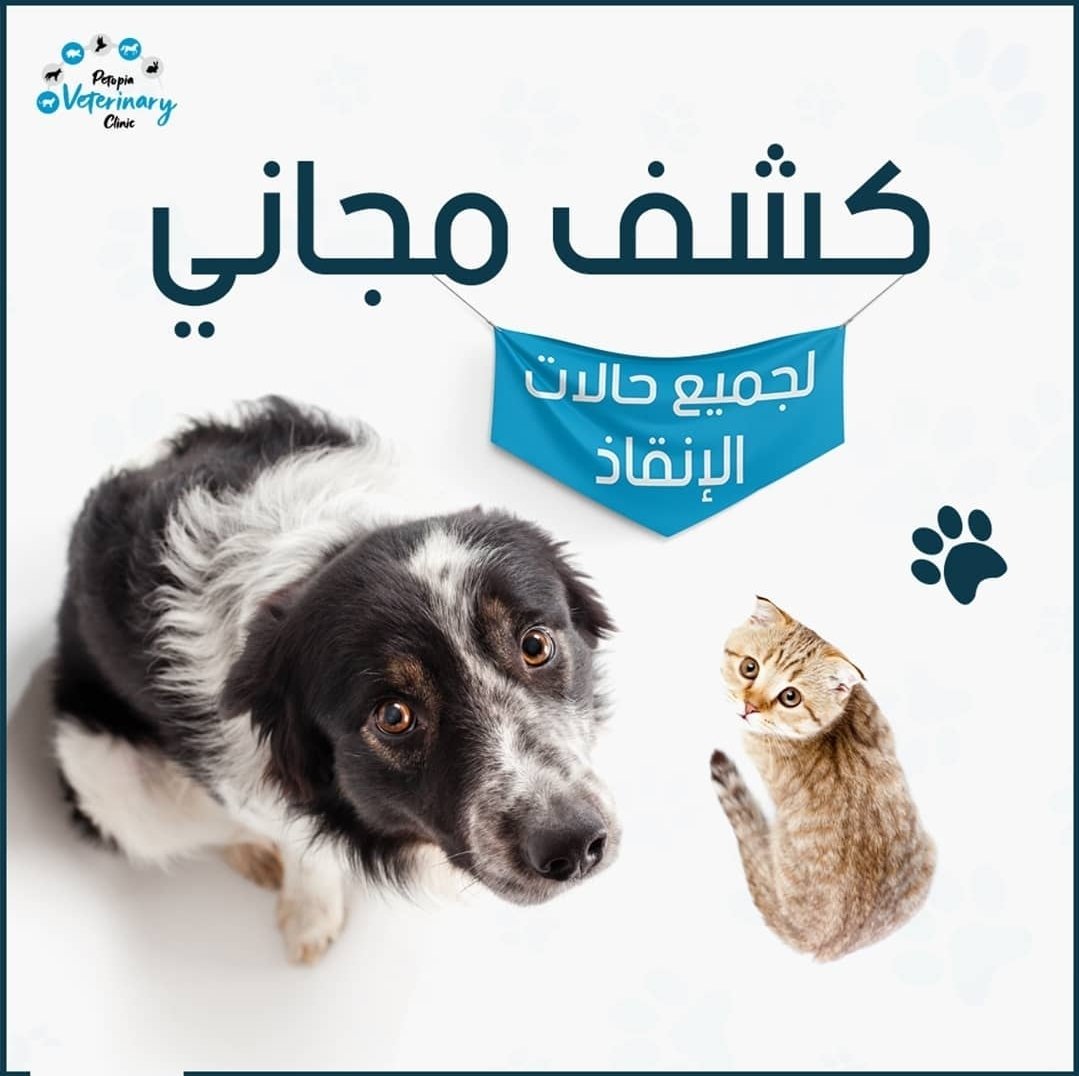 رحمائنا المنقذين والمنقذات في مدينة جدة
عيادة بيتوبيا البيطرية تقدم لكم كشف مجاني على القطط المنقذة .
(  إن كان بيدك أن تحيي روحًا فوجودها أمام عينيك ليس بمحض صدفة ) 

عيادة بيتوبيا لرعاية الحيوان 
موقع العيادة 
- جدة شارع صاري بجوار ميدان الفلك 
maps.app.goo.gl