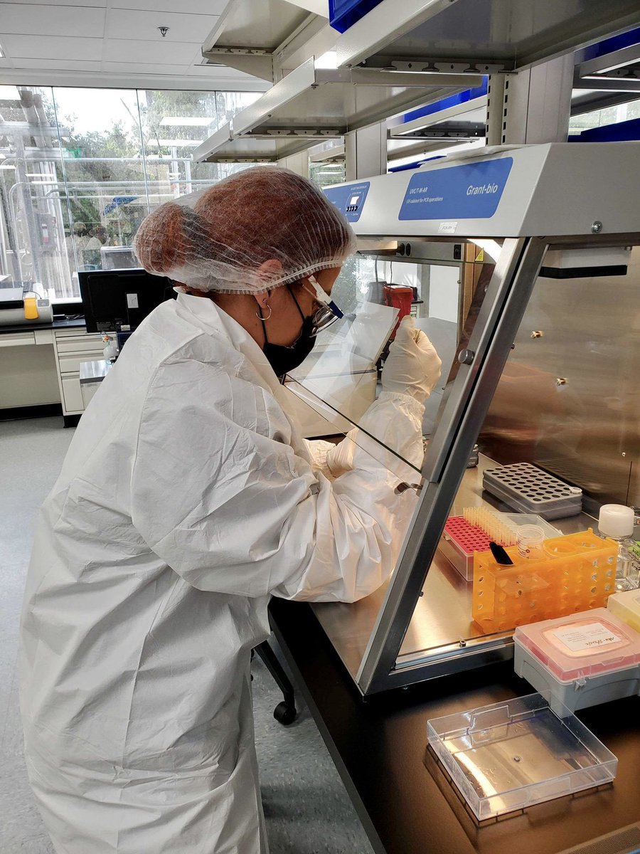 CytoimmunePR's tweet photo. Estas son las manos puertorriqueñas que trabajan sin descanso en CytoImmune Therapeutics innovando en terapias de tratamiento de cáncer. Damos gracias por estar aquí, trabajando para ti y para el mundo. 
#terapiacancer #innovacioncientifica #InvestPR #NuestroEquipo https://t.co/zRuBhFOPqc