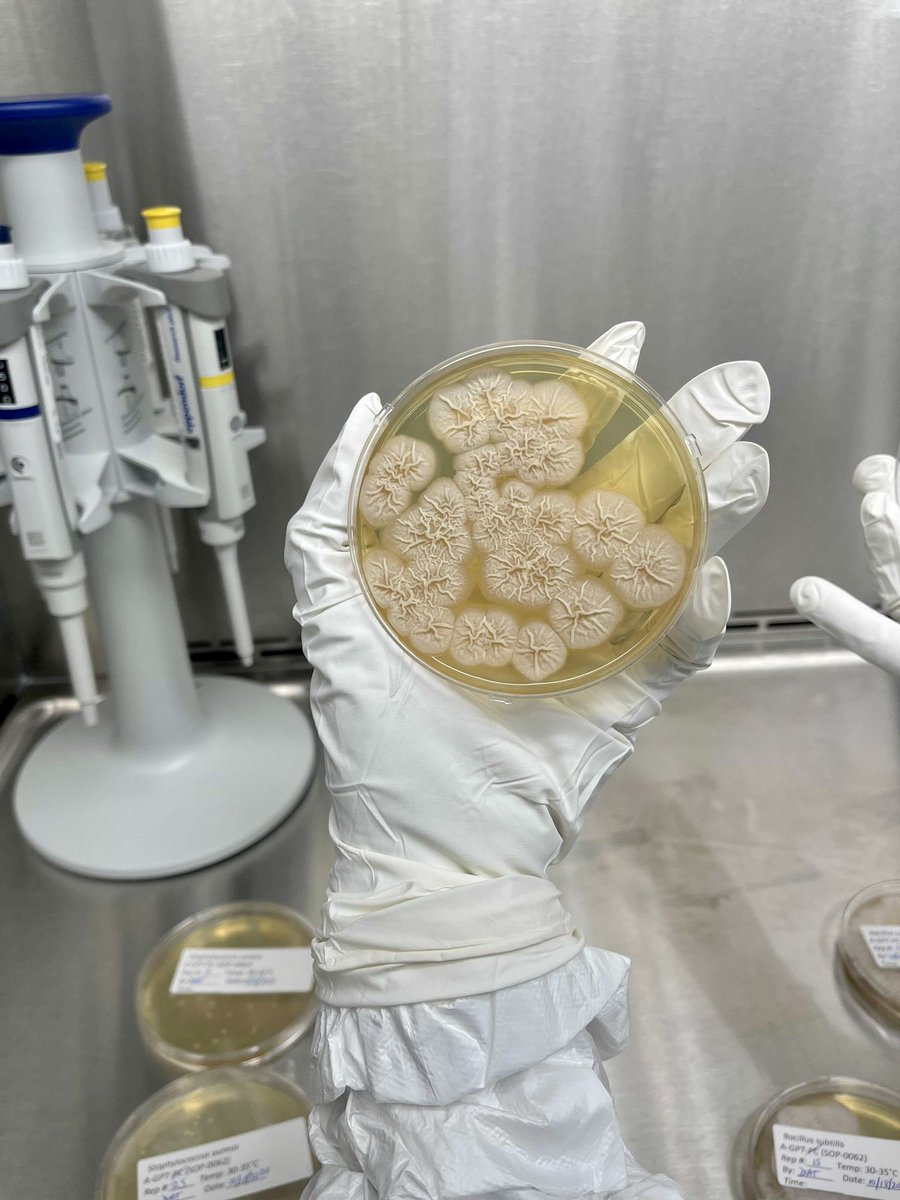 CytoimmunePR's tweet photo. Estas son las manos puertorriqueñas que trabajan sin descanso en CytoImmune Therapeutics innovando en terapias de tratamiento de cáncer. Damos gracias por estar aquí, trabajando para ti y para el mundo. 
#terapiacancer #innovacioncientifica #InvestPR #NuestroEquipo https://t.co/zRuBhFOPqc