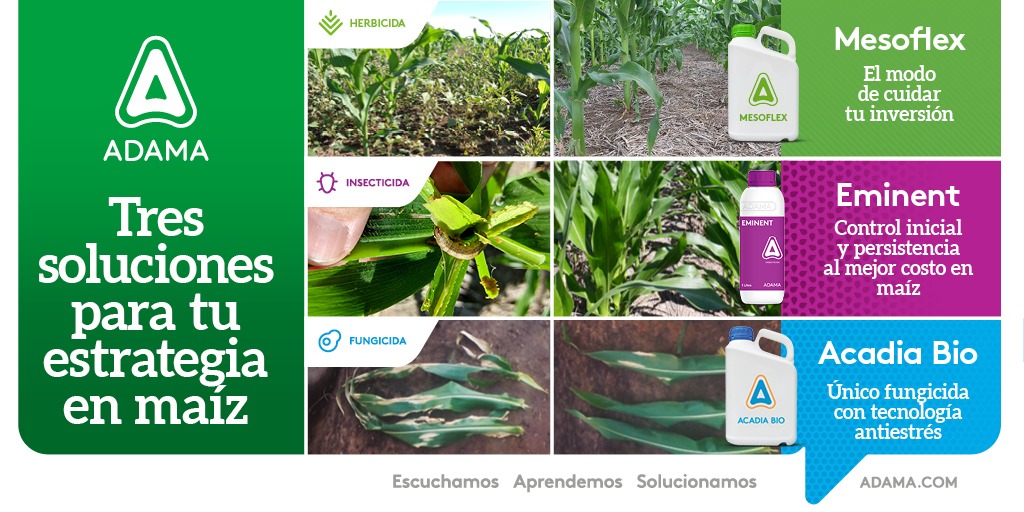 agroconsultas's tweet photo. De principio a fin, te presentamos nuestro completo portfolio para tu cultivo de maíz 🌽 @AdamaArgentina https://t.co/EVxK14QYWR