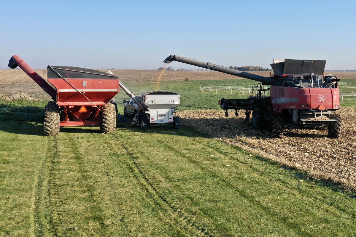 ProgressiveSeed's tweet image. Our last @GldnHarvest plot of 2021 is finally done! #GHHarvestTime #Harvest2021 #ILCorn