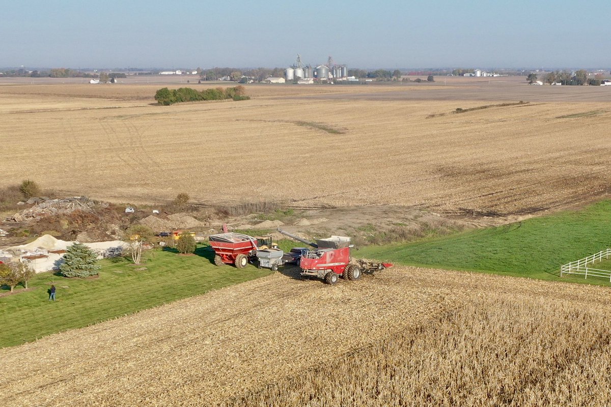ProgressiveSeed's tweet image. Our last @GldnHarvest plot of 2021 is finally done! #GHHarvestTime #Harvest2021 #ILCorn