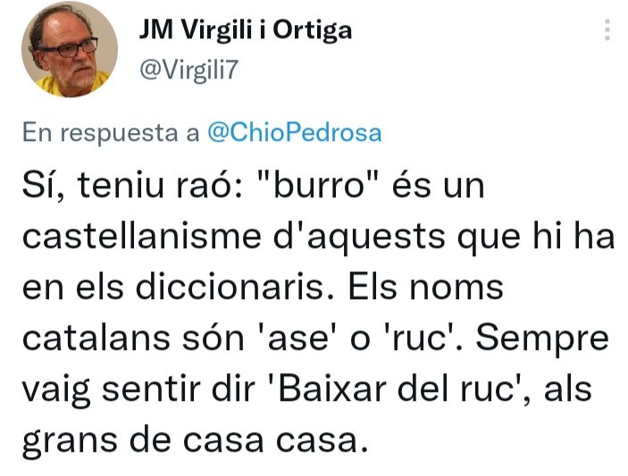 ChioPedrosa's tweet photo. @Marionamasf @GemmaFLT @jvllacer @Virgili7 Tirabuixó. Crec que el mestre diria que és un francesisme d'aquestls que hi ha en els diccionaris 🤔🙂 https://t.co/UkeKl2FE4O