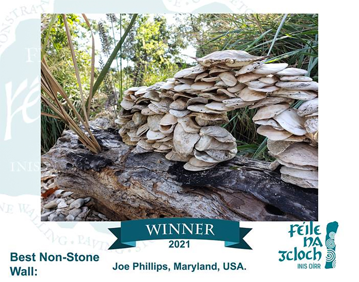 phillipsdonova2's tweet photo. Our firm owner, Joe Phillips, had fun building an oyster shell "miniature stone wall" after being inspired by the Dry Stone Wall Association of Ireland's competition. He entered it in the 2021 competition and won for "Best Non-Stone Wall". #stonewall #miniaturestonewall #DSWAI https://t.co/yYpcRm9d5p
