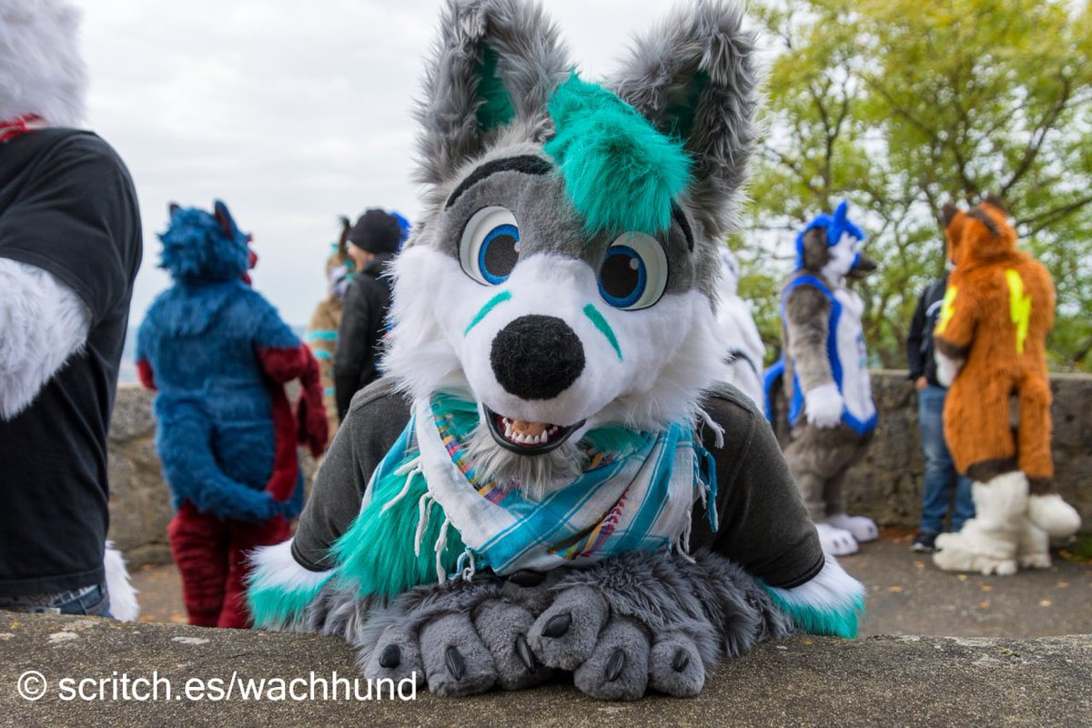 kanuki_fox's tweet photo. Picture by @WachWuffel https://t.co/gqldbIKhsR
