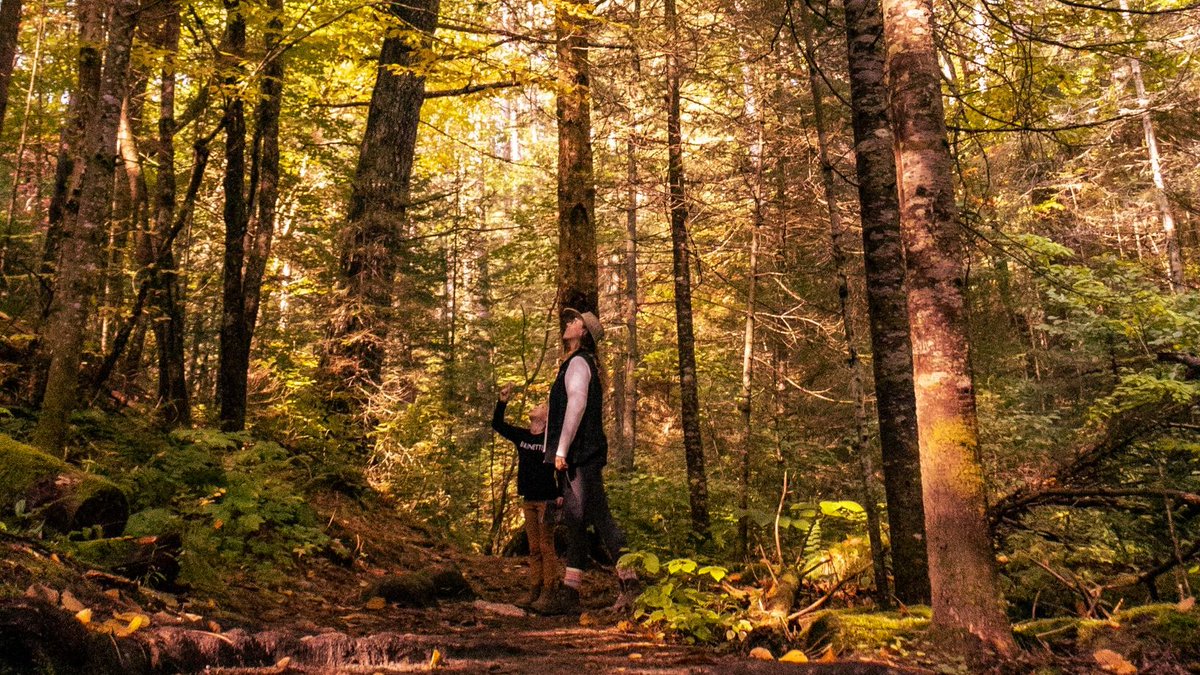 Algonquin_PP's tweet photo. Have a wonderful weekend everyone!
Remember: hiking makes you happier!  Invest in your health and spend time in nature this weekend. 🐦🍂🌲🌞  #HPHP https://t.co/Elo1R0bRNX