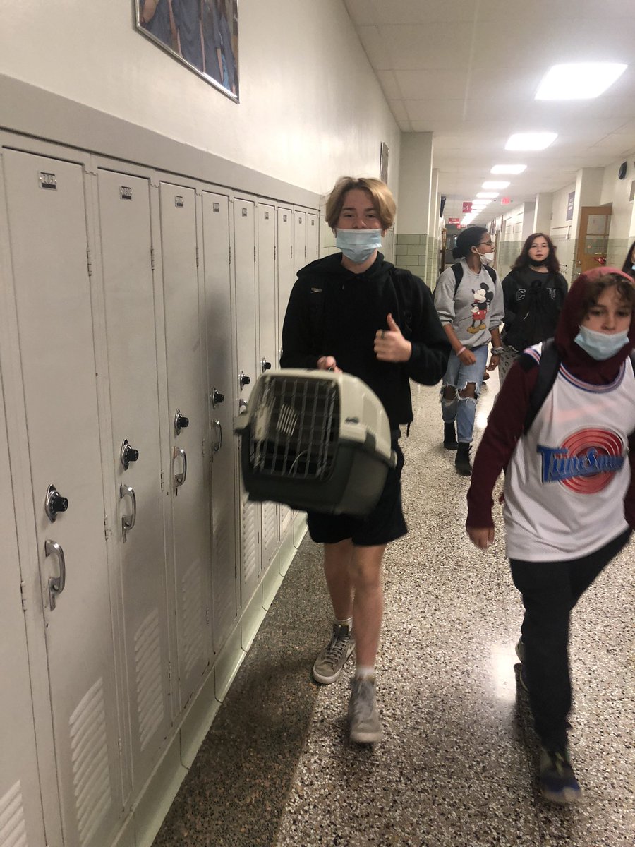 Mrs. Kristi Harper tweet media