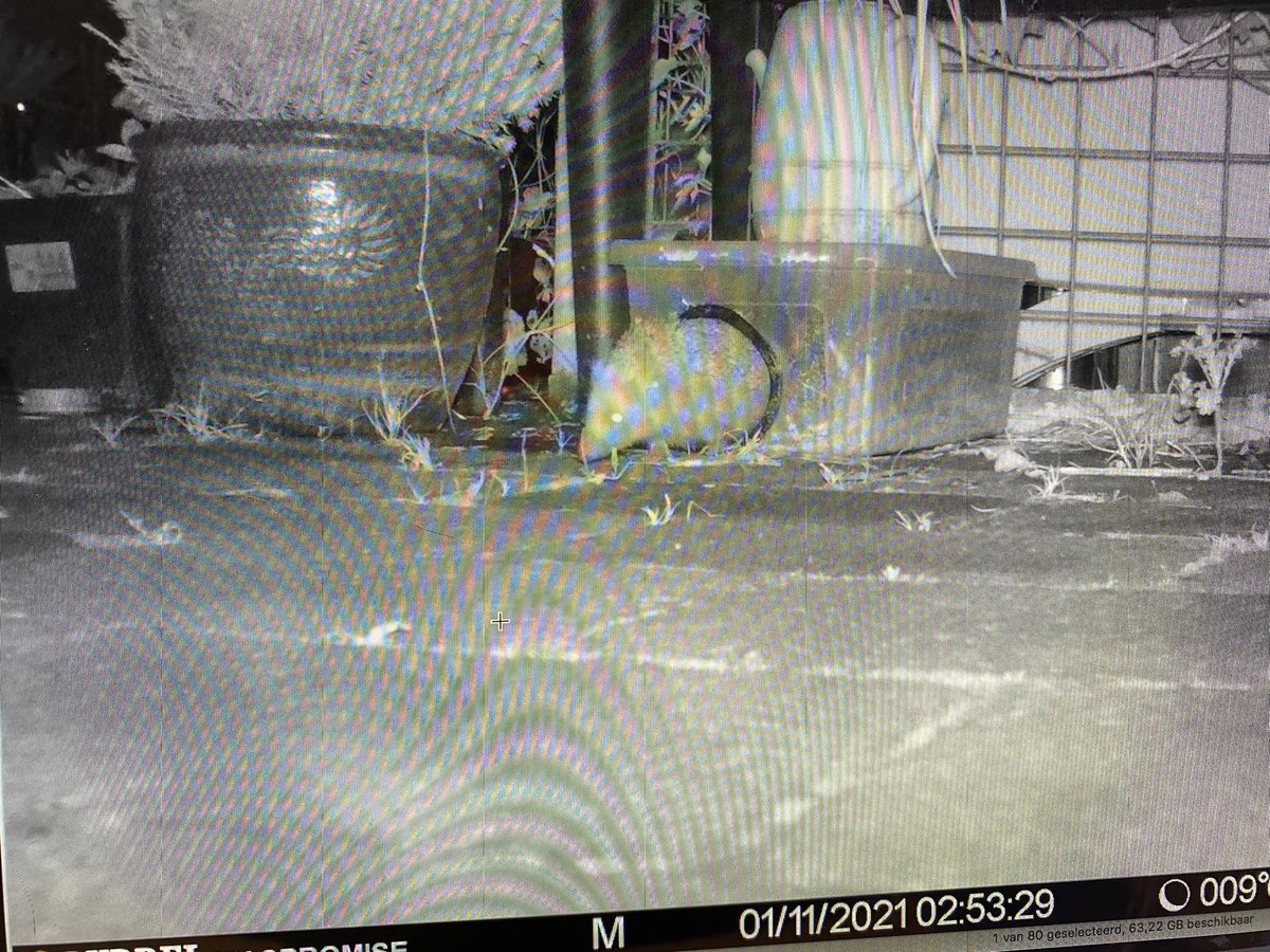 Carolina vd Akker 🍀🌞 tweet media