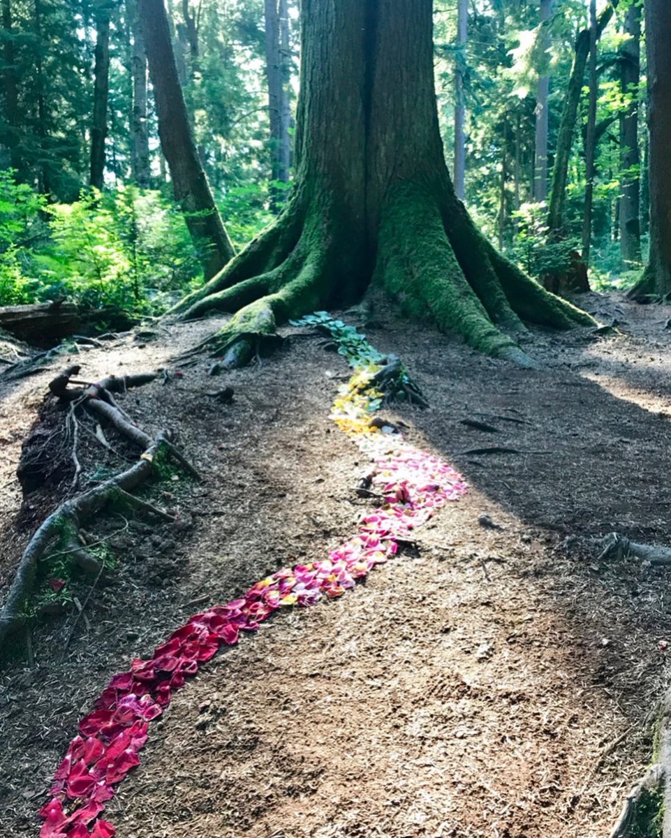 Turn it Around! Cards tweet media