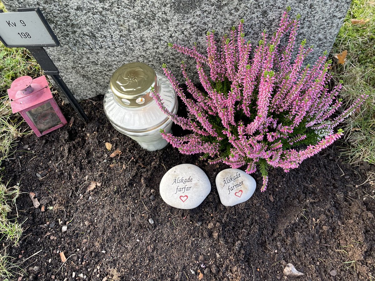 fredrikhardt's tweet photo. Satt ljus och blommor på mina föräldrars grav. Vi minns och pratar ofta med barnen om deras farföräldrar som inte finns med oss här på jorden. Farföräldrarna lever dock vidare i minnen, språkliga uttryck och i kärleken. ❤️ #allhelgona #levavidare https://t.co/Jwc73253UI