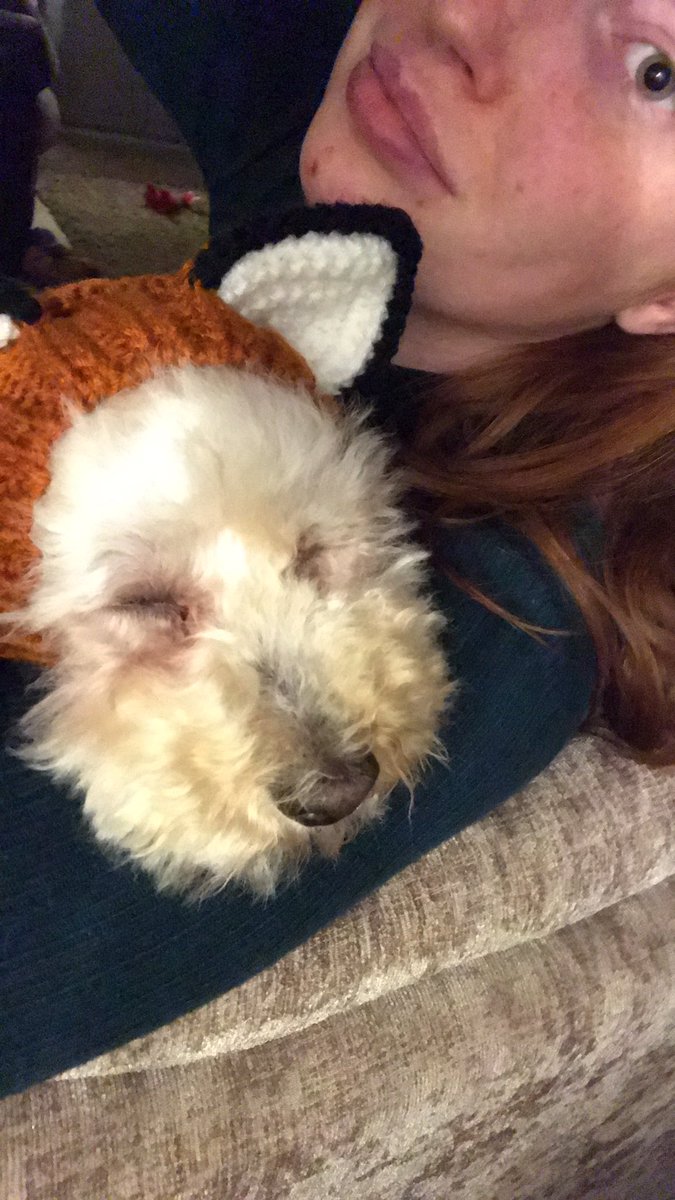 It’s taken nearly 2 hours but we finally have a sleeping dog! This never happens during fireworks he’s absolutely petrified but <a href="/ClassicFM/">Classic FM</a> #PetClassics must be the final step to calming him down after herbal meds, ear covers and diffusers alone weren’t working. Thank you!!