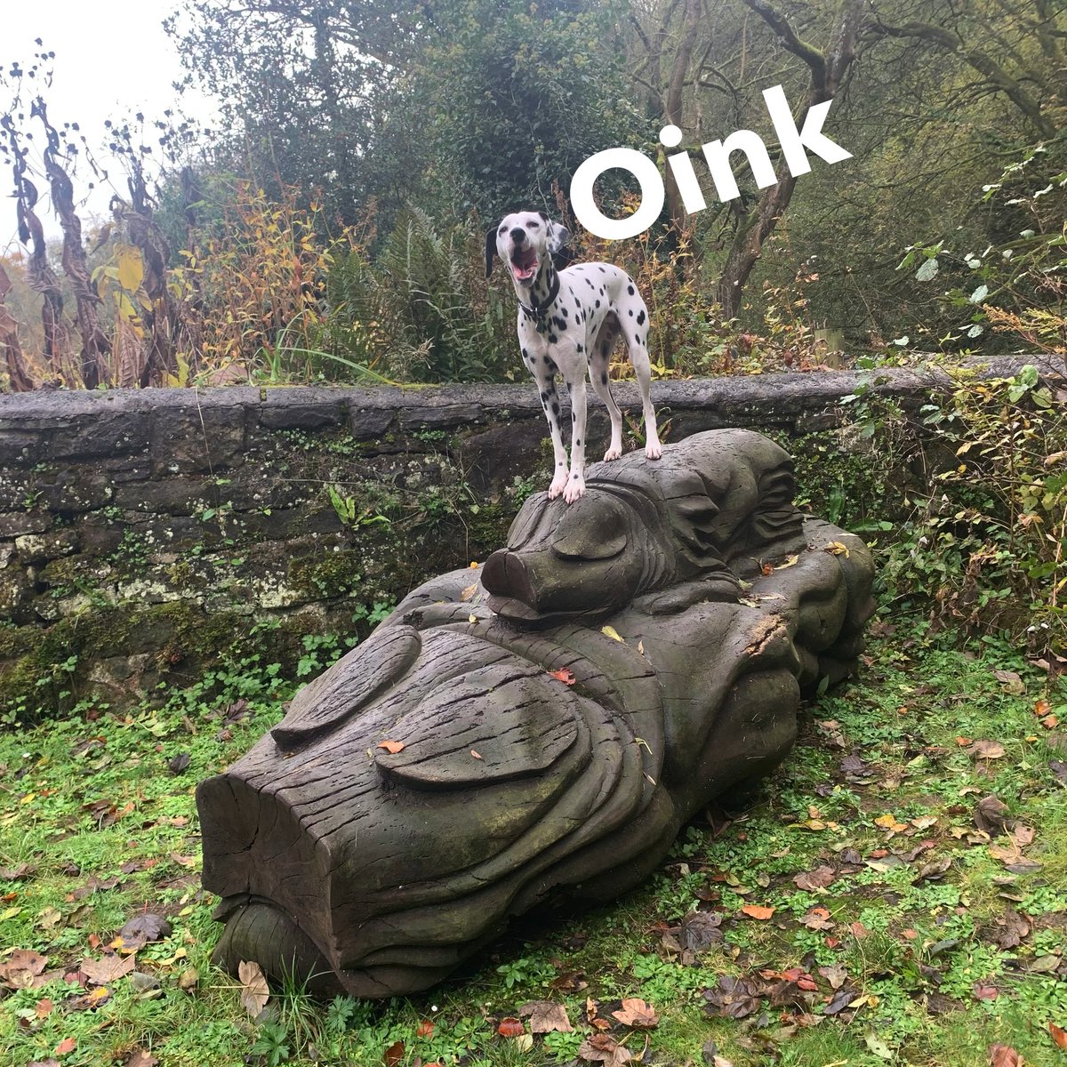 Miniclick_'s tweet photo. #theeaglehaslanded #threelittlepigs 🤣 Nant Mill @VisitNorthWales
#Animals #woodcarving #nantmill #wrexham #dalmatian #spottydogs @visitwales #ilovemydog https://t.co/dYtYSJRPmn