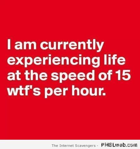 basuamri's tweet photo. Just #why ??? #whyme #postdoclife #postdocs #AcademicChatter #postdocvibes #postdoc #postdocjobs #sadlife #postdocvoice
#LifeOfAPostDoc https://t.co/CQ4v8ZK41I