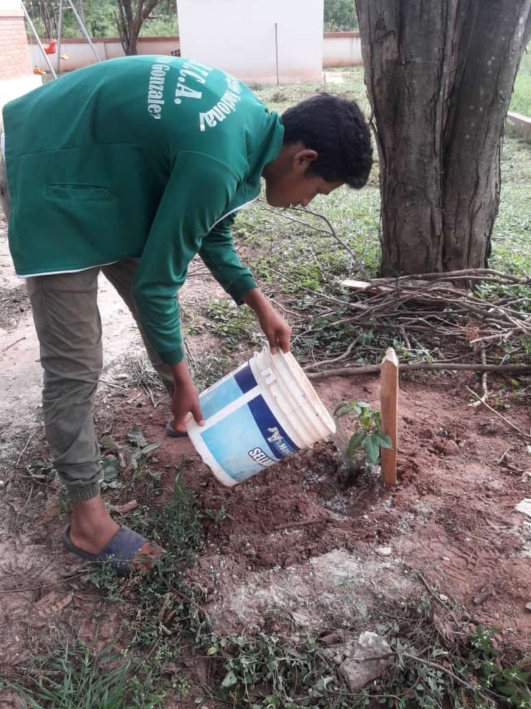 PNUD Paraguay tweet media