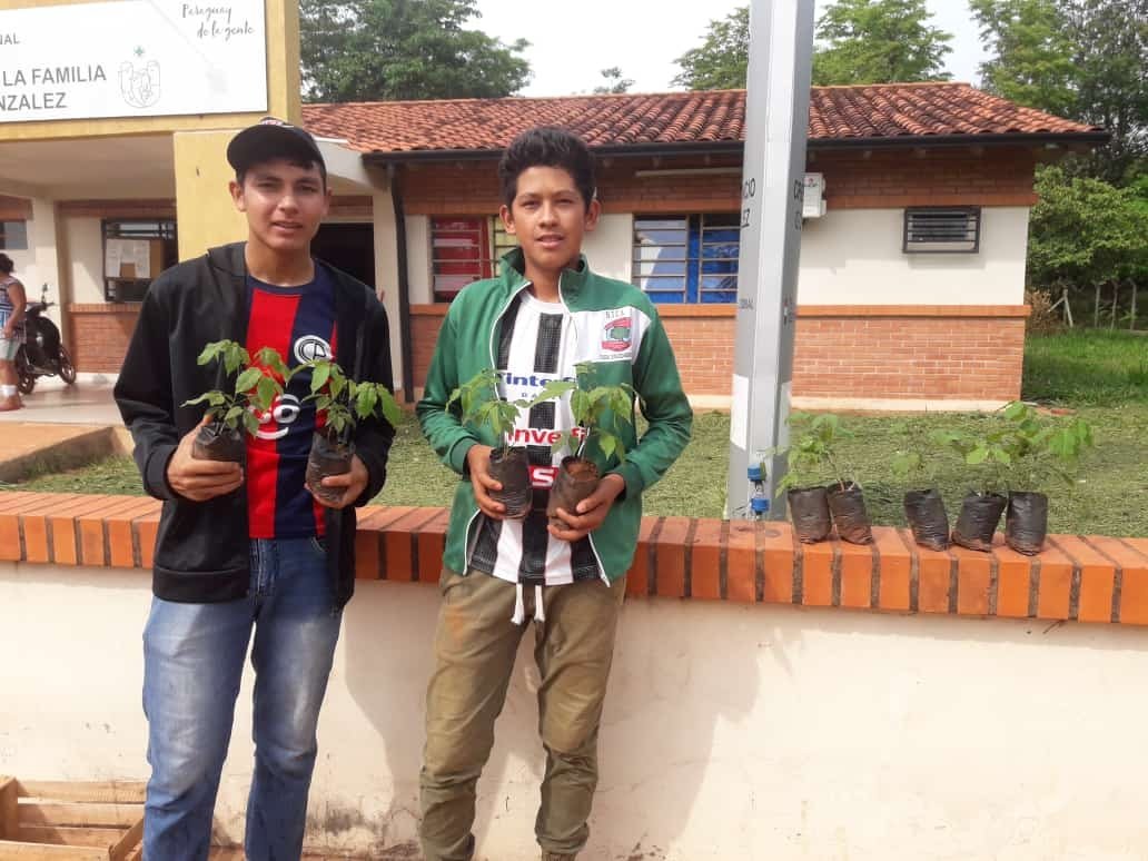 PNUD Paraguay tweet media