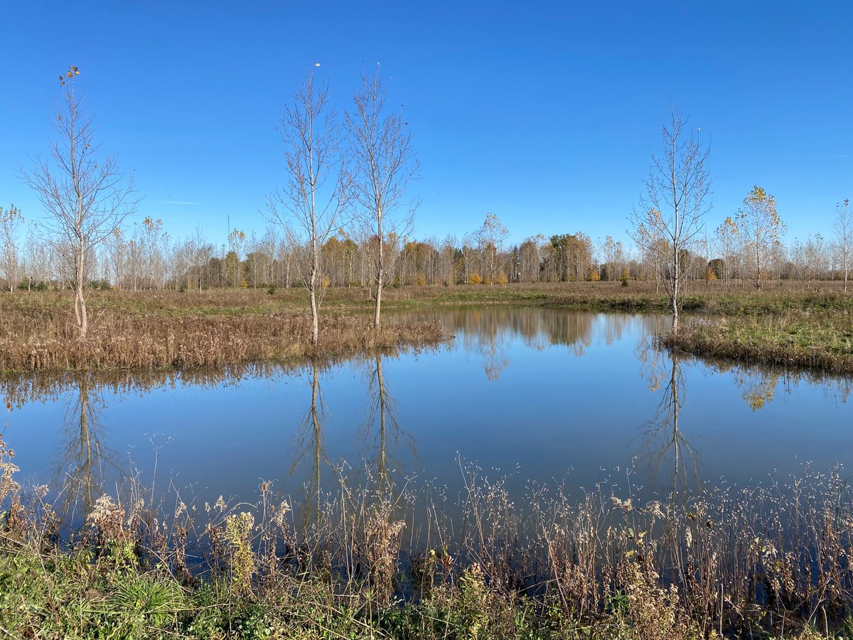 KettleCreekCA's tweet image. What a difference 6 months and a lot of rain makes in this wetland creation project at the KCCA Administration Centre. Check out the before and after pictures of these two wetland cells. 

Funding for this project was provided by @ONenvironment, @environmentca, and @DUContario