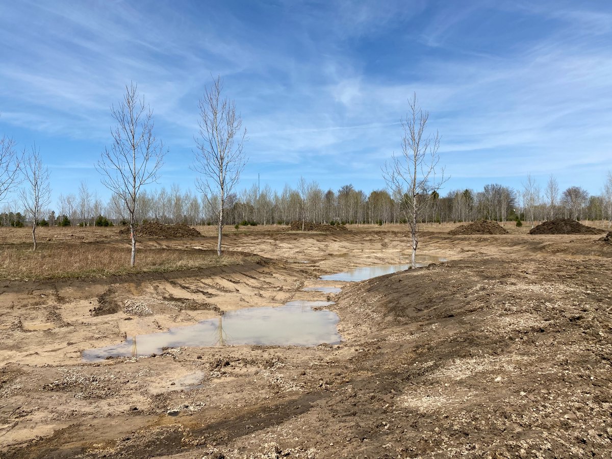 KettleCreekCA's tweet image. What a difference 6 months and a lot of rain makes in this wetland creation project at the KCCA Administration Centre. Check out the before and after pictures of these two wetland cells. 

Funding for this project was provided by @ONenvironment, @environmentca, and @DUContario