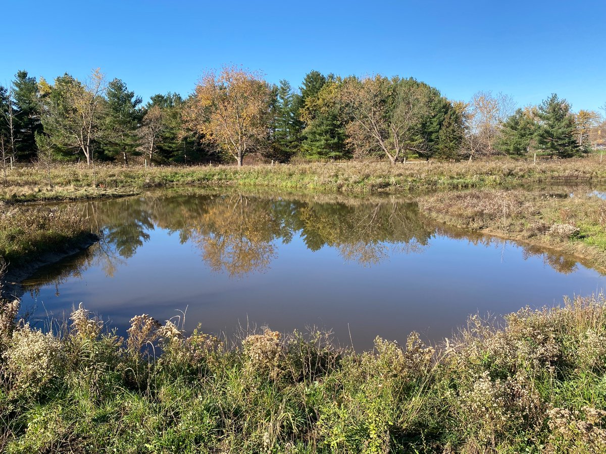 KettleCreekCA's tweet image. What a difference 6 months and a lot of rain makes in this wetland creation project at the KCCA Administration Centre. Check out the before and after pictures of these two wetland cells. 

Funding for this project was provided by @ONenvironment, @environmentca, and @DUContario