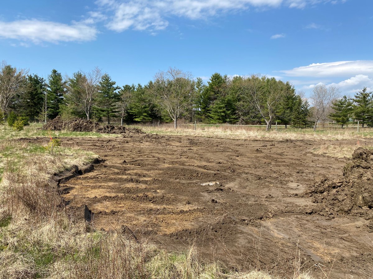 KettleCreekCA's tweet image. What a difference 6 months and a lot of rain makes in this wetland creation project at the KCCA Administration Centre. Check out the before and after pictures of these two wetland cells. 

Funding for this project was provided by @ONenvironment, @environmentca, and @DUContario