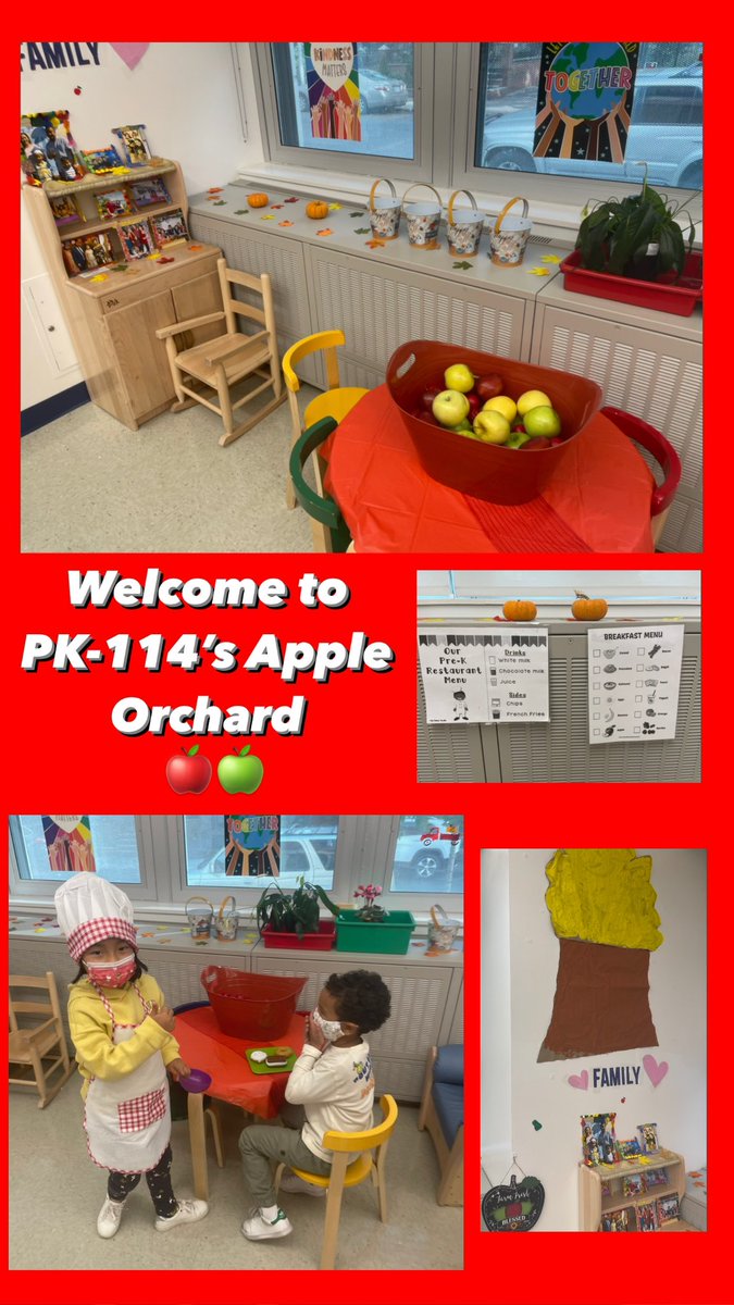Soaking up our last few days in our Apple Orchard!🍏🍎 Stay tuned to see what we turn our dramatic play into next😉 @30Q398 <a href="/nycdistrict30/">District 30</a> #weallLEARN