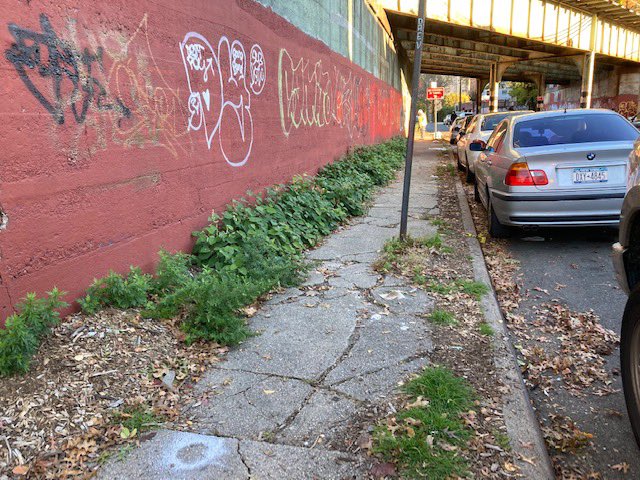 MarkGjonajNY's tweet photo. As part of a cleanup and beautification project we are glad to partner with @WildcatServCorp on the clean up of the trestle areas in #Di13 removing overgrowth & garbage to prep them to be primed & painted. Today's clean up was at the 1950 Cruger Ave@between Hunt Ave & Holland Ave https://t.co/Y2bnN4Zq4J