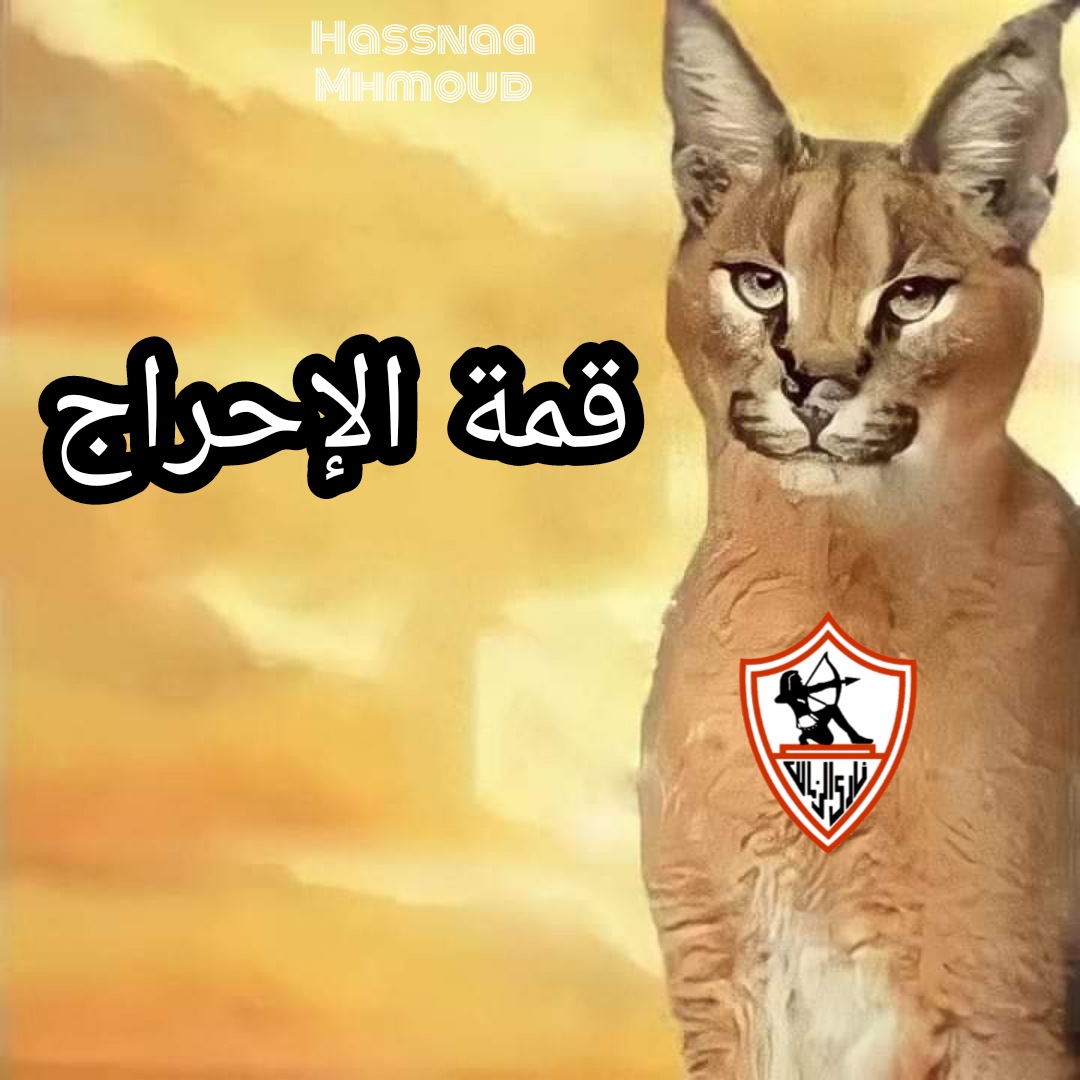 NoOo2a1's tweet photo. ٥ ؟؟ 
#القمه_123 https://t.co/WZYQ2jotf9