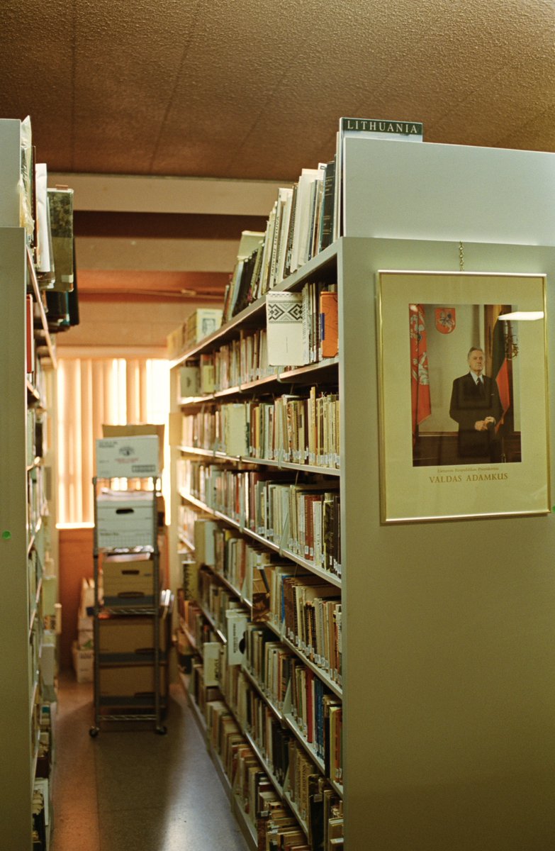 First roll of <a href="/kodak_shootfilm/">Kodak Motion Picture Film</a> Vision3 250D, and its a basically perfect film, no notes. Like if Gold 200 and Portra 400 had a baby. 

This is C-41; looking forward to trying it in ECN-2, but I like these results as-is!

#filmphotography #vision250D #believeinfilm