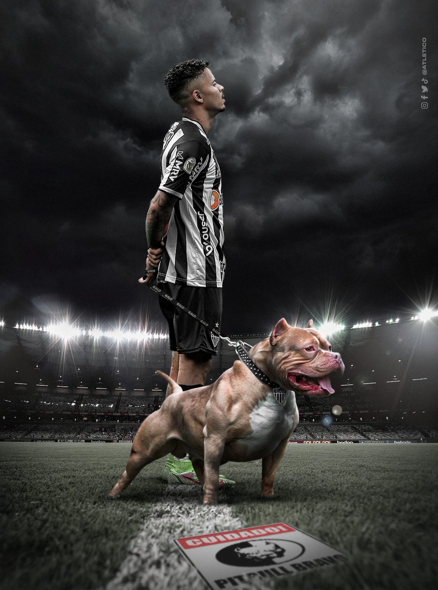 🗣️ Como canta a Massa nas arquibancadas: "uh, uh, uh, o Allan é pitbull!" 😤