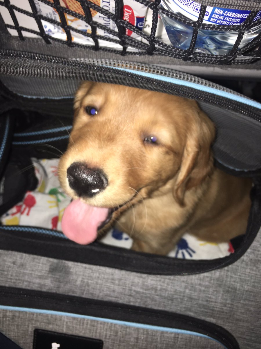 Thank you all my friends! Who got me to 500 followers. You guys rock!!!