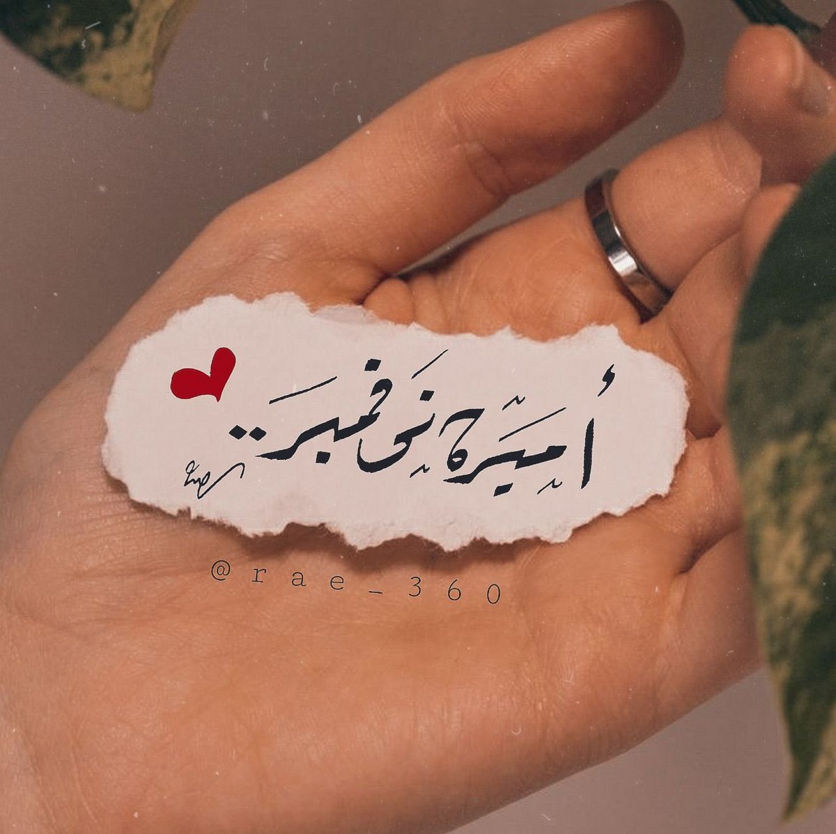 pink9rose's tweet photo. -نوفمبر شهر النسِيم البارد وبدايّات الشتاء وقطرات المطر و ميلادك 💛🧁.
@Al_Ra77l https://t.co/C5NzGmhQ8B