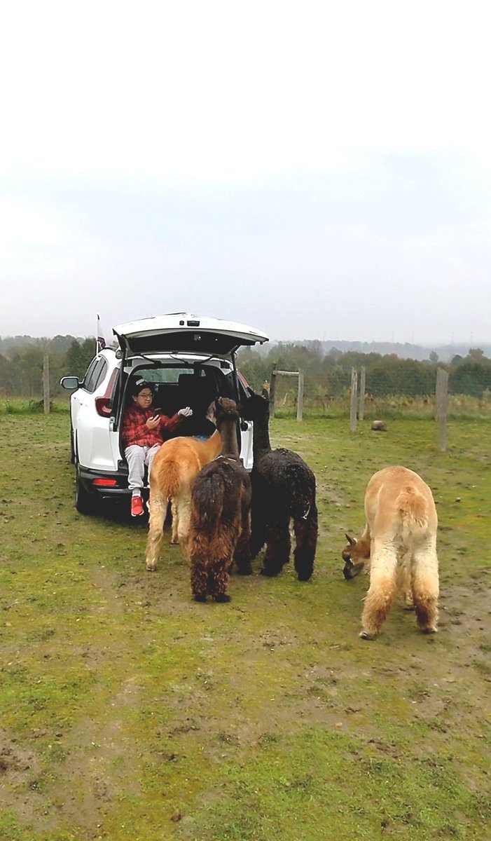 MoVernie's tweet photo. Not your typical tailgate party here @hautegoat!
@HondaCanada
#hautegoat #uniqueexperience #uniqueaccommdation #hondacrv #crv https://t.co/bqN7CjVGpI