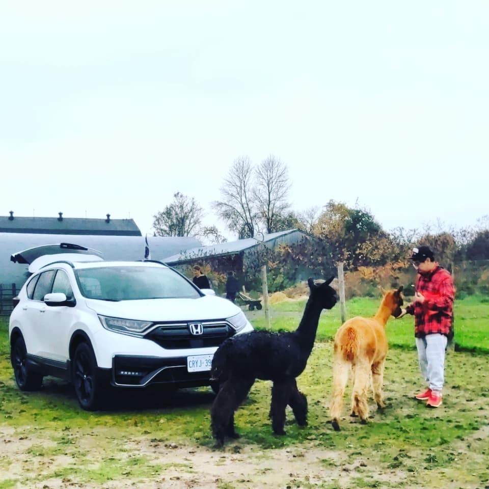 MoVernie's tweet photo. Not your typical tailgate party here @hautegoat!
@HondaCanada
#hautegoat #uniqueexperience #uniqueaccommdation #hondacrv #crv https://t.co/bqN7CjVGpI